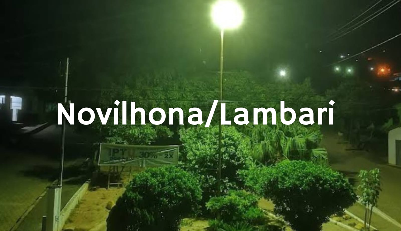 NOVILHONA/LAMBARI